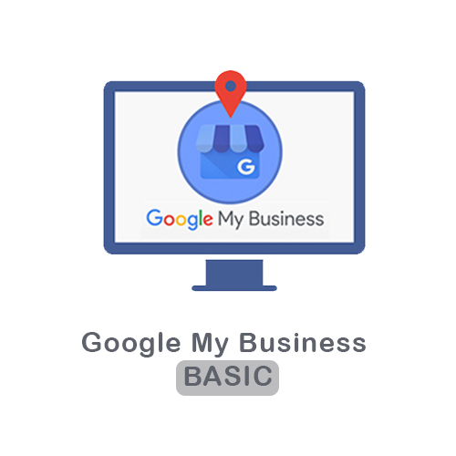 Google My Business Basic